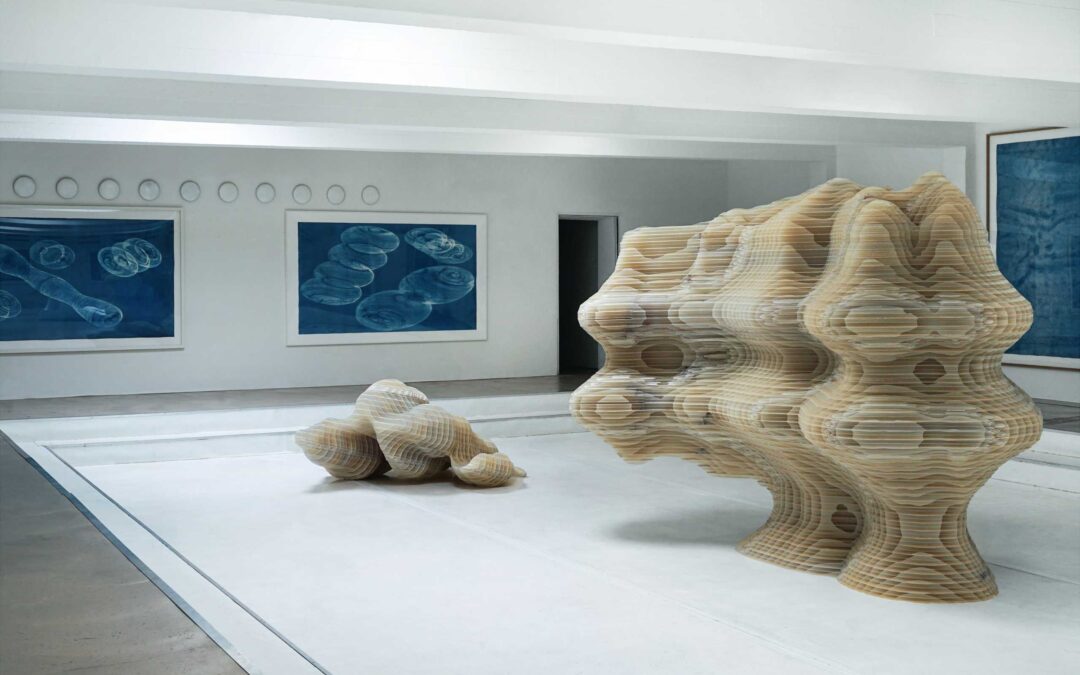 roomview Intergalaxy installation at ‘the pool’ 2025